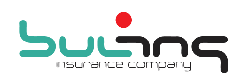 Bulins Logo